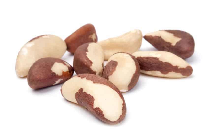 Food To Live Organic Brazil Nuts - 8 Lbs, 1 Pack, 8 lbs - Pay Less