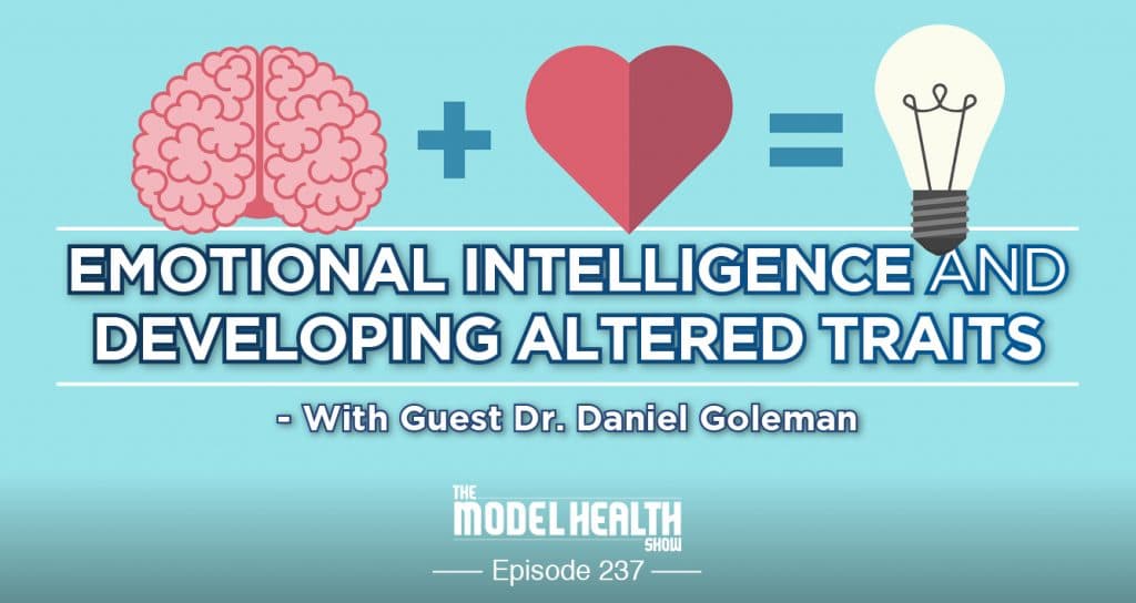 emotional intelligence daniel goleman